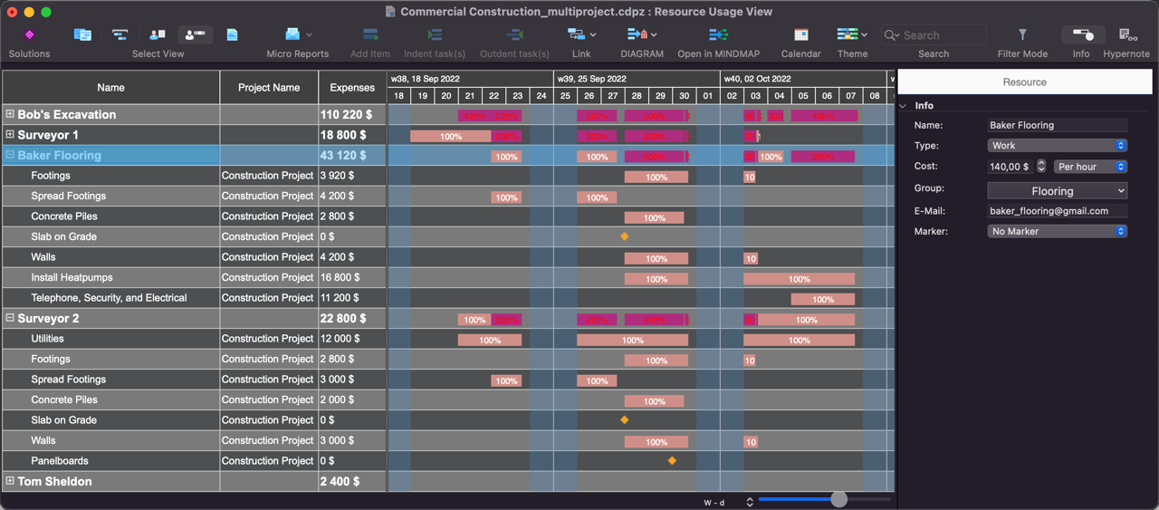 project management software: resource allocation